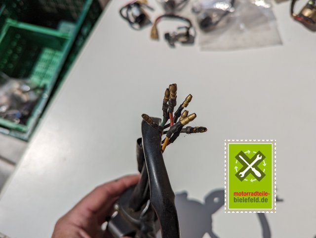 PXL_20240523_111811306